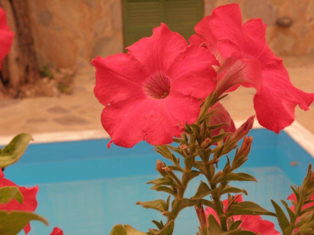 Ampoulos Rooms&Apartments Kedro Exterior foto